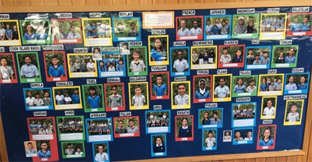The PNINS photo board.