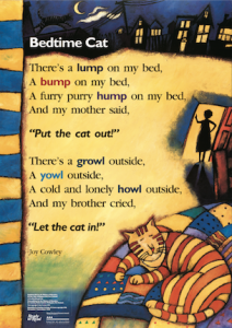 Sleeping cat.