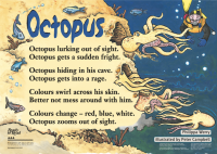 Octopus hiding from a diver. 