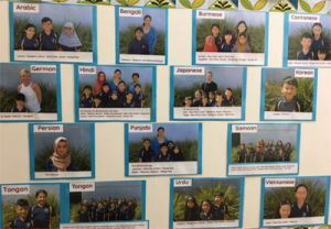 All fluent speakers of a language (students and staff) are represented.