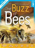 Bees_front_cover