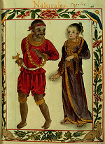 boxer codex