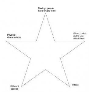 Concept Star - Sharks