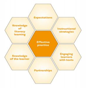 Effective Learning Practice diagram. 