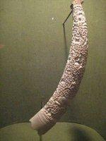horn