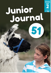 JJ51 TSM