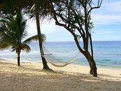 'Lonely hammock' by *Micky