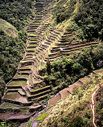 luzon terraces