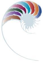 nautilus