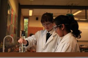 Students in science class