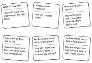 Question cards.