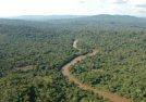 river_jungle