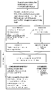School-based literacy needs diagram. 