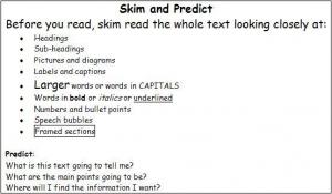Skim and predict