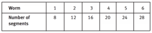 Table showing number of worm segments.