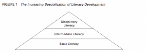 The increasing specialisation of literacy development diagram