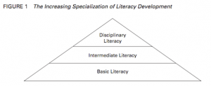 The increasing specialisation of literacy development diagram