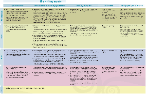 Writing Matrix Years 9-13
