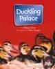 Duckling palace book cover.