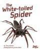 The white tailed spider book cover.